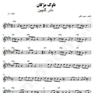 نت کیبورد ناوک مژگان نادر گلچین