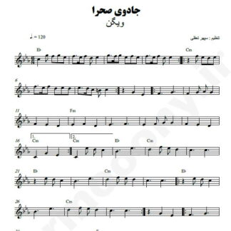 نت کیبورد جادوی صحرا ویگن