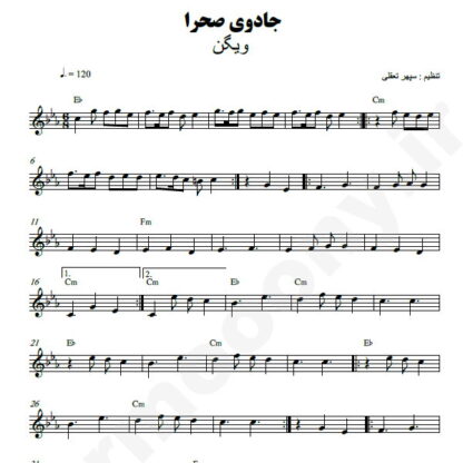 نت کیبورد جادوی صحرا ویگن