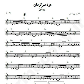 نت کیبورد مرد سرگردان ویگن