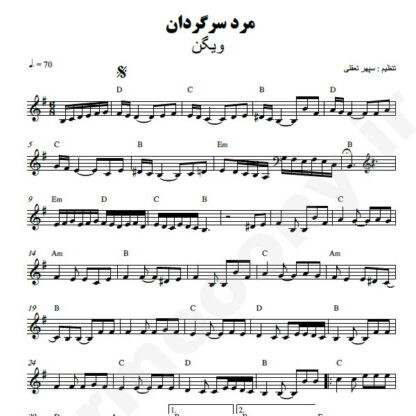 نت کیبورد مرد سرگردان ویگن