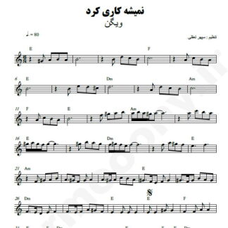 نت کیبورد نمیشه کاریش کرد ویگن