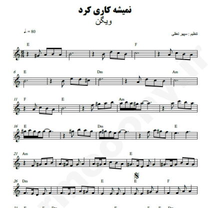 نت کیبورد نمیشه کاریش کرد ویگن