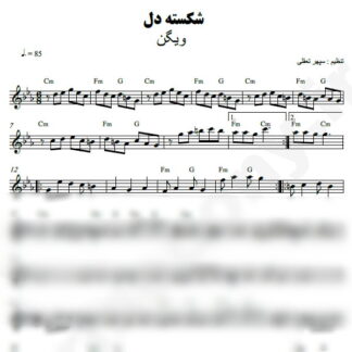 نت کیبورد شکسته دل ویگن