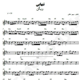 نت کیبورد تنهایی ویگن
