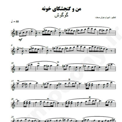 نت کیبورد من و گنجشکای خونه
