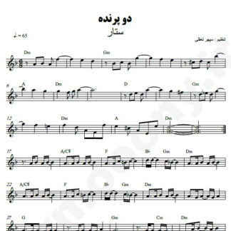 نت کیبورد دو پرنده ستار