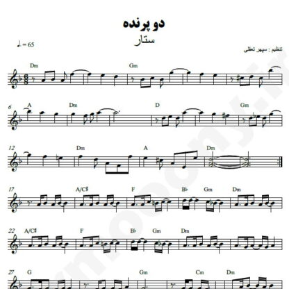نت کیبورد دو پرنده ستار