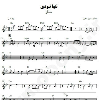 نت کیبورد تنها نبودی ستار