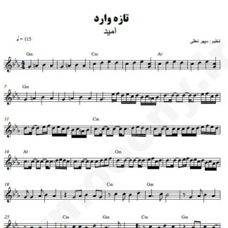 نت کیبورد تازه وارد امید