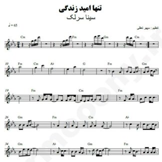 نت کیبورد تنها امید زندگی سینا سرلک