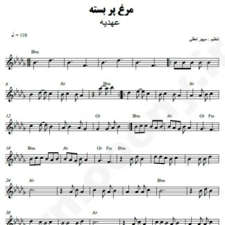 نت کیبورد مرغ پر بسته عهدیه