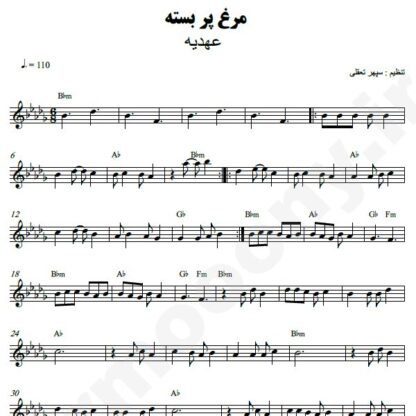 نت کیبورد مرغ پر بسته عهدیه