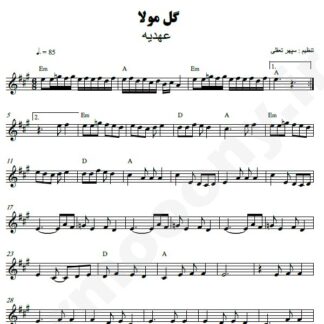نت کیبورد گل مولا عهدیه