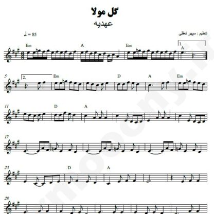 نت کیبورد گل مولا عهدیه