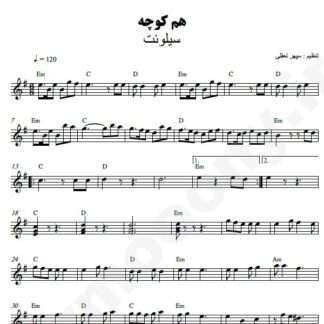نت کیبورد همکوچه گروه سیلوئت