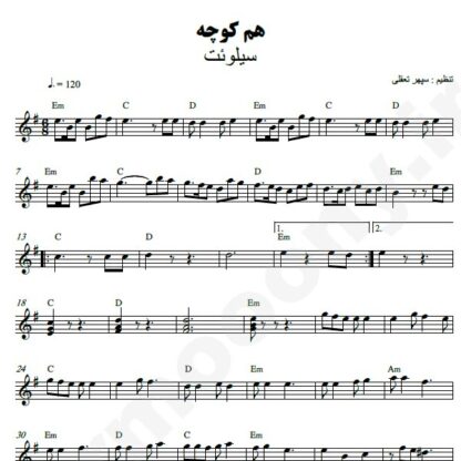 نت کیبورد همکوچه گروه سیلوئت