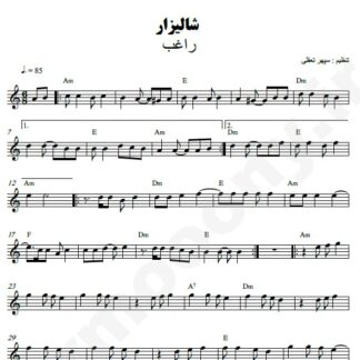 نت کیبورد شالیزار راغب