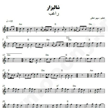 نت کیبورد شالیزار راغب