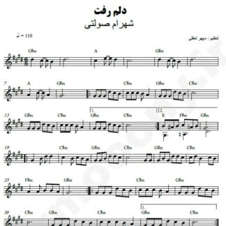 نت کیبورد دلم رفت شهرام صولتی