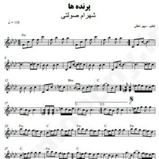 نت کیبورد پرنده ها شهرام صولتی