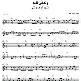 نت کیبورد زندگینامه شهرام صولتی
