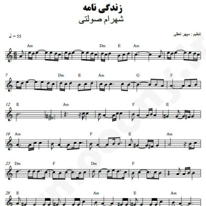 نت کیبورد زندگینامه شهرام صولتی