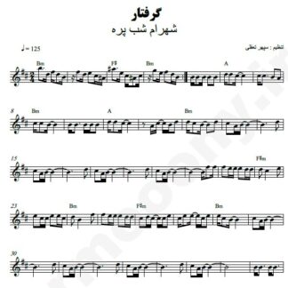 نت کیبورد گرفتار شهرام شب پره