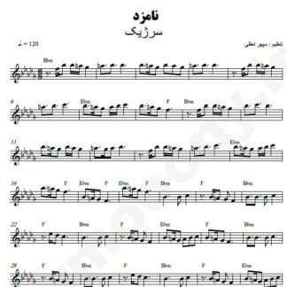 نت کیبورد نامزد سرژیک
