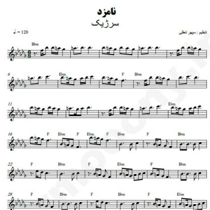 نت کیبورد نامزد سرژیک