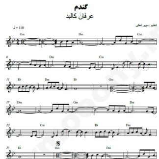 نت کیبورد گندم عرفان کالبد