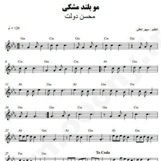 نت کیبورد مو بلند مشکی محسن دولت