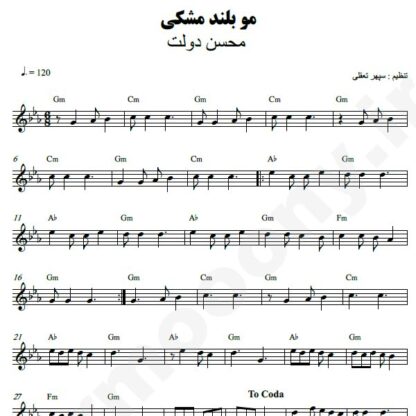نت کیبورد مو بلند مشکی محسن دولت