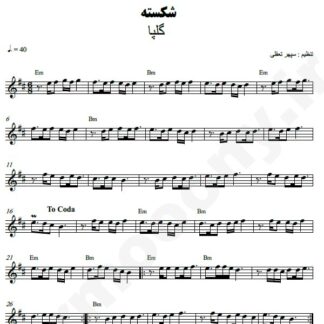 نت کیبورد شکسته گلپا