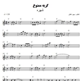 نت کیبورد گریه ممنوع شهره