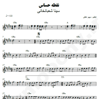 نت کیبورد نقطه حساس سینا شعبانخانی