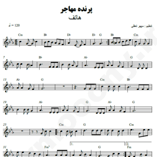نت کیبورد پرنده مهاجر هاتف