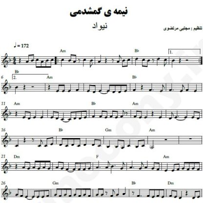 نت کیبورد نیمه گمشده نیواد
