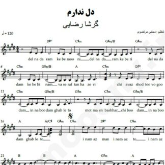 نت کیبورد دل ندارم گرشا رضایی