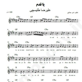 نت کیبورد پاقدم علیرضا طلیسچی