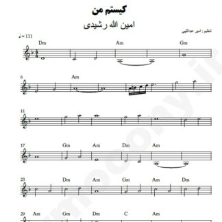 نت کیبورد کیستم من امین الله رشیدی