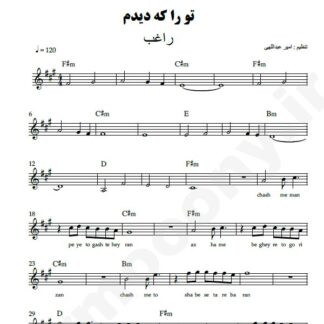 نت کیبورد تو را که دیدم راغب