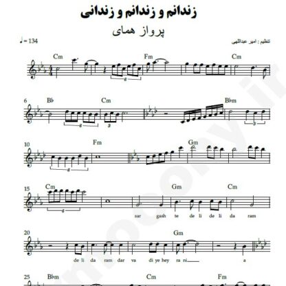 نت کیبورد زندانی پرواز همای
