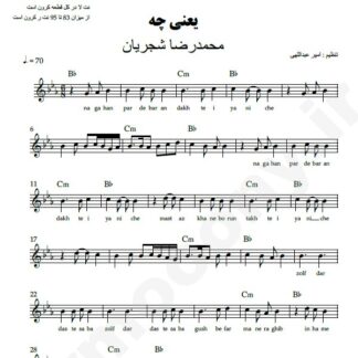 نت کیبورد یعنی چه محمدرضا شجریان