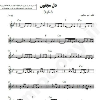 نت کیبورد دل مجنون شکیلا