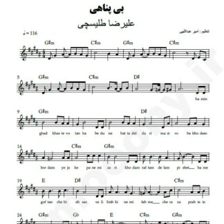 نت کیبورد بی پناهی علیرضا طلیسچی
