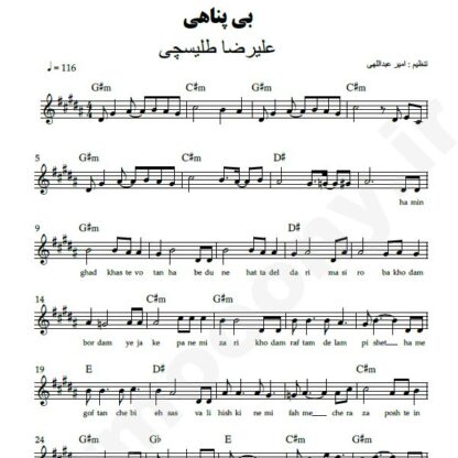 نت کیبورد بی پناهی علیرضا طلیسچی
