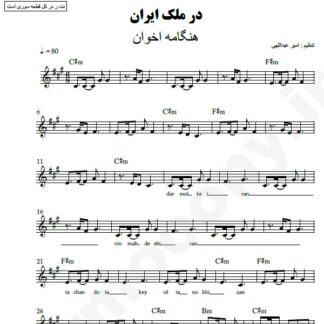نت کیبورد در ملک ایران هنگامه اخوان