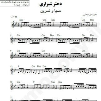 نت کیبورد دختر شیرازی ضیا و نسرین