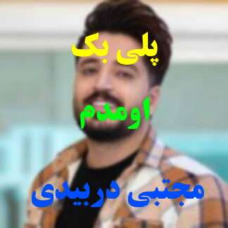 پلی بک تق و تق در زدم مجتبی دربیدی